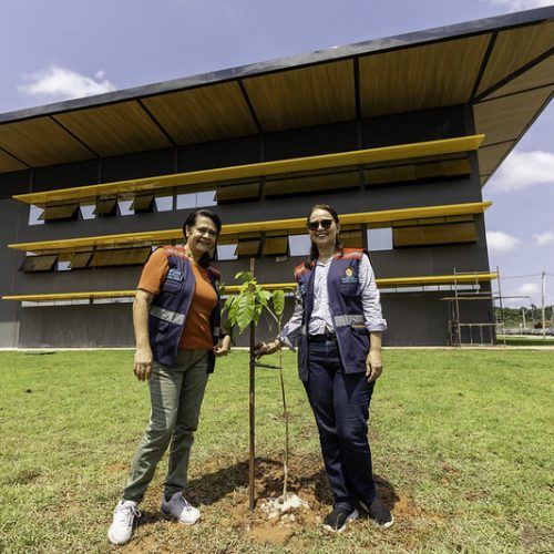 Implurb faz plantio de mais árvores em nova sede construída pela Prefeitura de Manaus