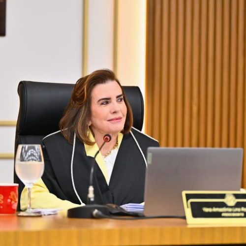 Yara Lins trabalha para acelerar análise de processos antigos no TCE-AM