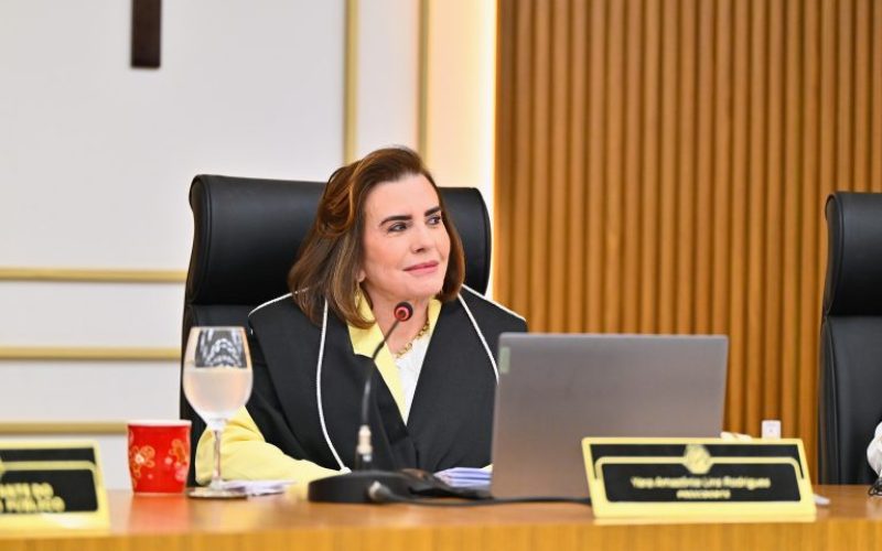 Yara Lins trabalha para acelerar análise de processos antigos no TCE-AM