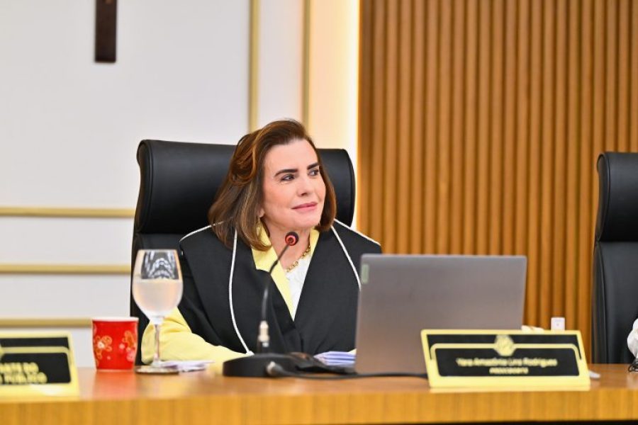 Yara Lins trabalha para acelerar análise de processos antigos no TCE-AM