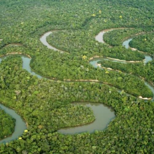 Criação do Programa Rios Livres da Amazônia avança na Comissão de Meio Ambiente do Senado