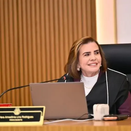 Presidente do TCE-AM conduz tratativas para garantir cumprimento da decisão do STF sobre transparência em emendas parlamentares